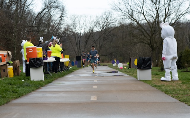 Kontakt z zespołem Felnastnaria